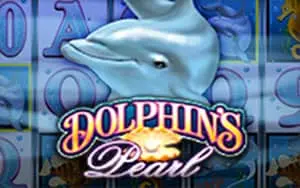 casino online amigo25
